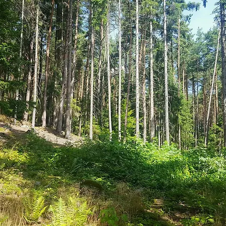 Malebna Chalupa U Javorniku Na Sumave Vacov Exterior photo
