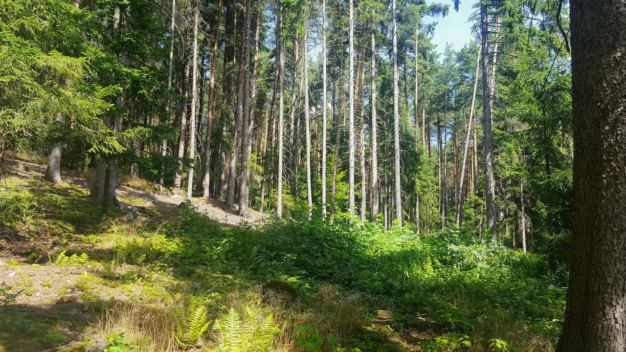 Malebna U Javorniku Na Sumave Holiday home *